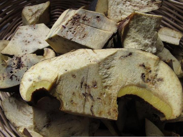 Robaczywe grzyby w kuchni