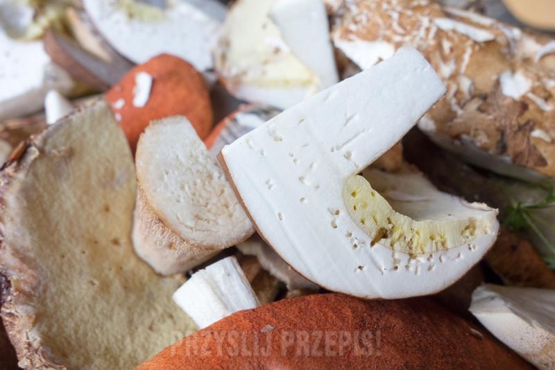 Czy robaczywe grzyby to smakołyk czy zagrożenie? Sprawdź, czy można je jeść!