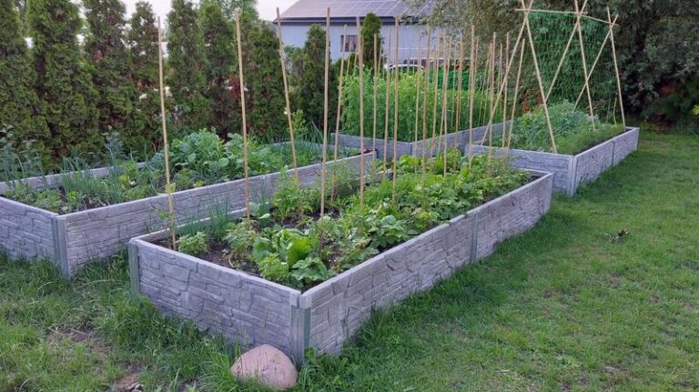 Jak przygotować podwyższone grządki i jakie korzyści przynoszą?