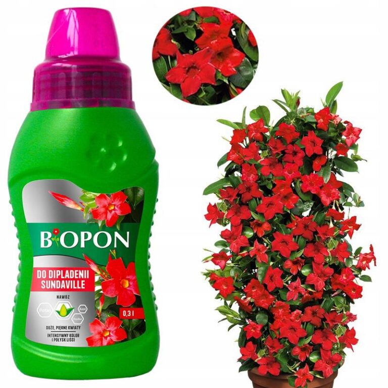 Jak skutecznie zimować sundaville, aby cieszyć się nimi wiosną?