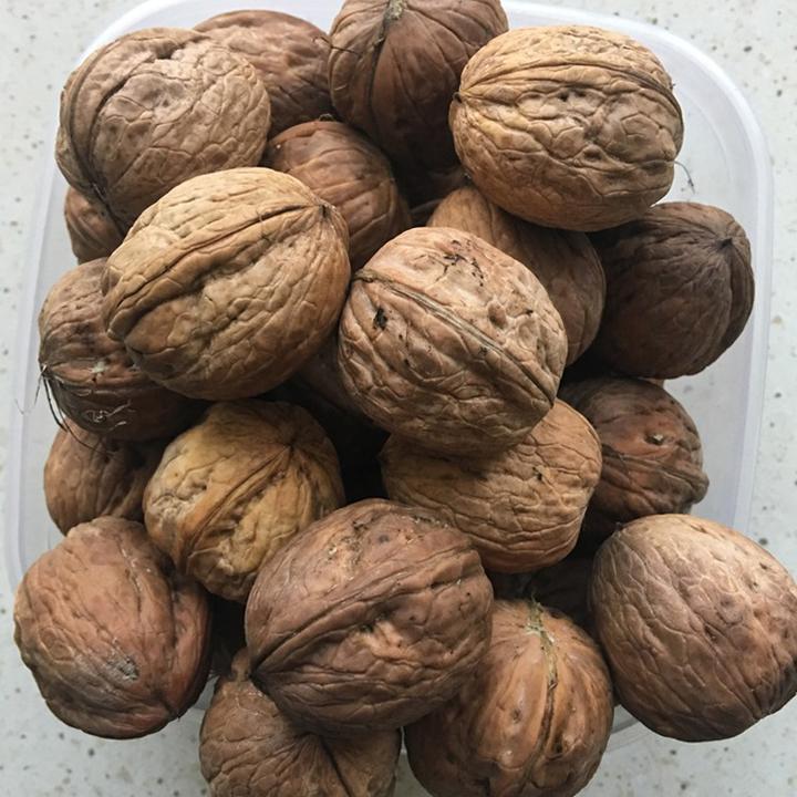 Ekologiczne metody otwierania orzechów