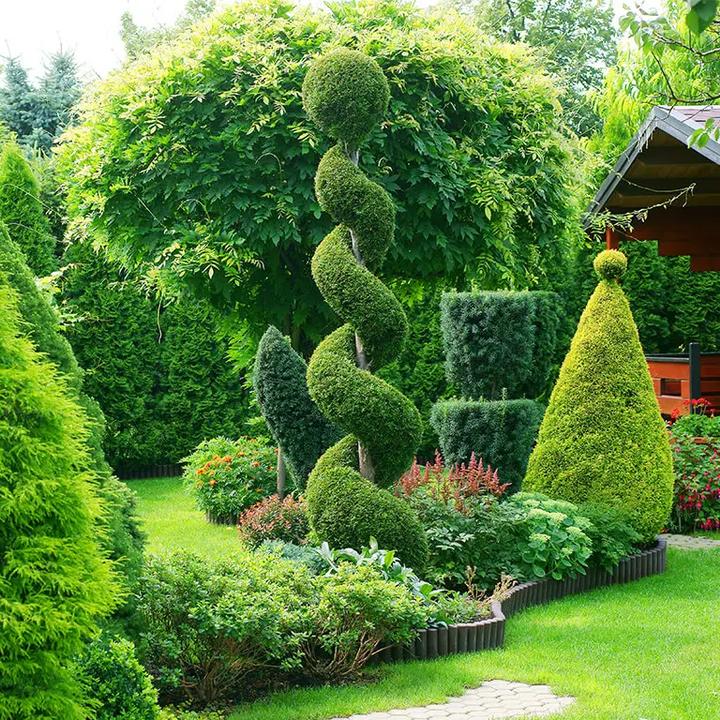 Piękne kwiaty na lato