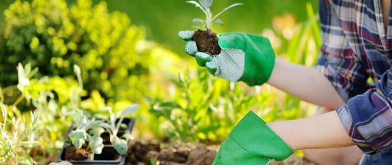 Prace w ogrodzie: Niezbędne sprzęty i porady dla początkujących ogrodników