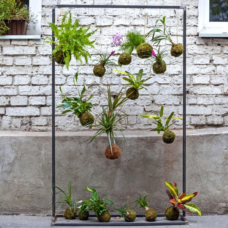 Kokedama krok po kroku