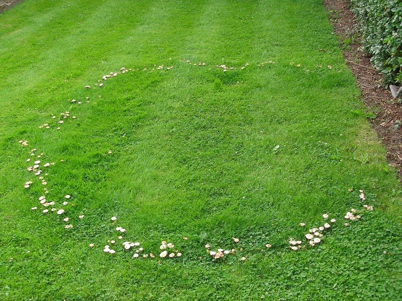 Magiczne zjawisko natury