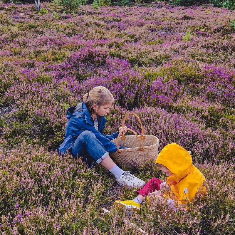 Porady pielęgnacyjne roślin