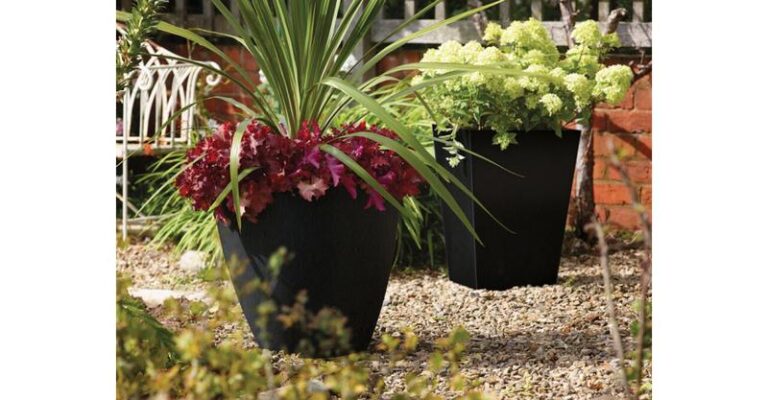 Odkryj Najlepsze Rośliny Wieloletnie Do Donic, Które Zmienią Twoją Przestrzeń