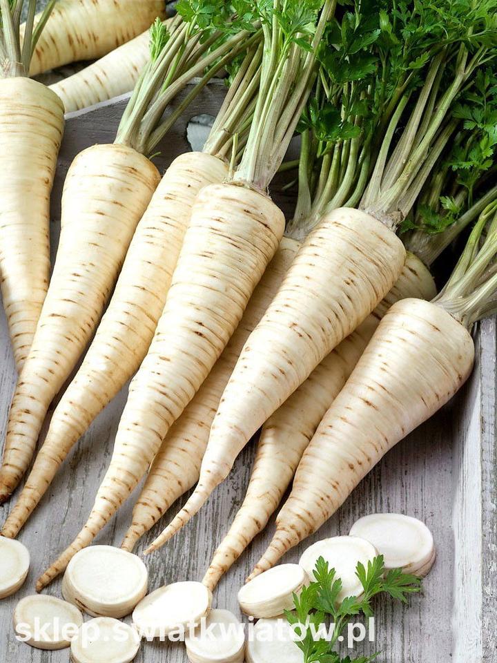 Domowy ogródek ziołowy