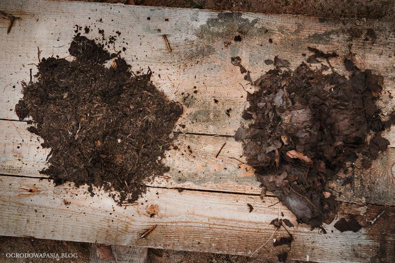 Ekologiczna uprawa roślin