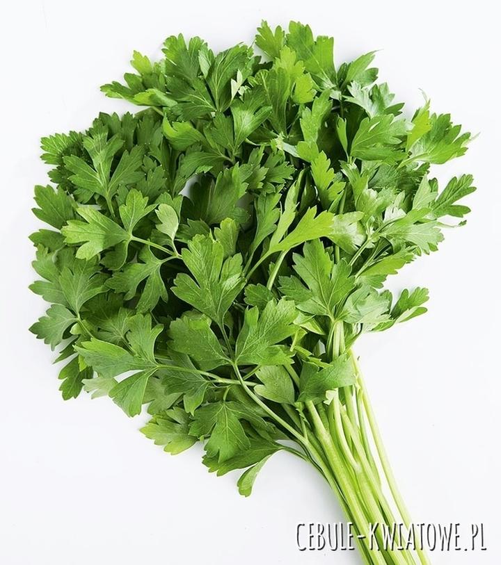 Korzyści zdrowotne z ziół