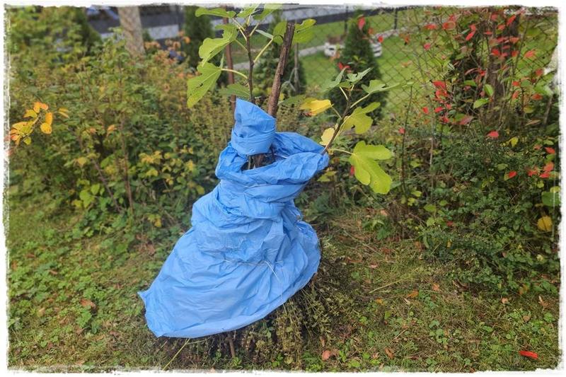 Materiały do okrywania roślin