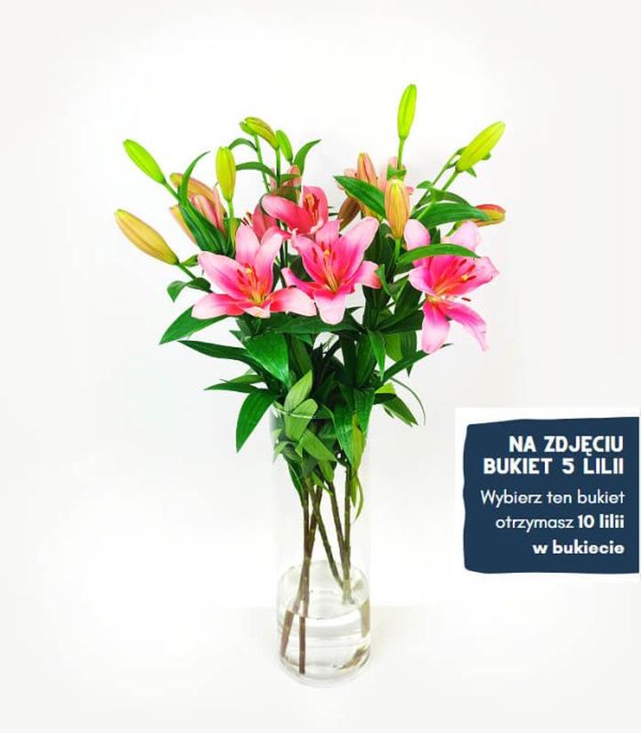 Ochrona przed mrozem lilie