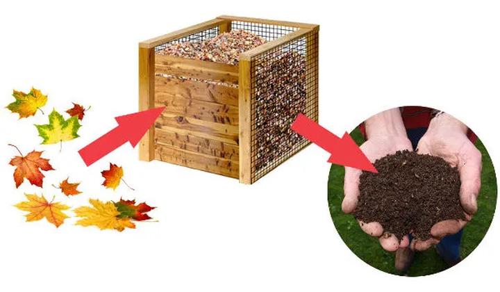 Zalety ziemi liściowej