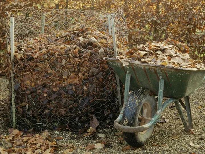 Zastosowanie ziemi liściowej