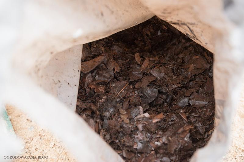 Ziemia liściowa w ogrodnictwie