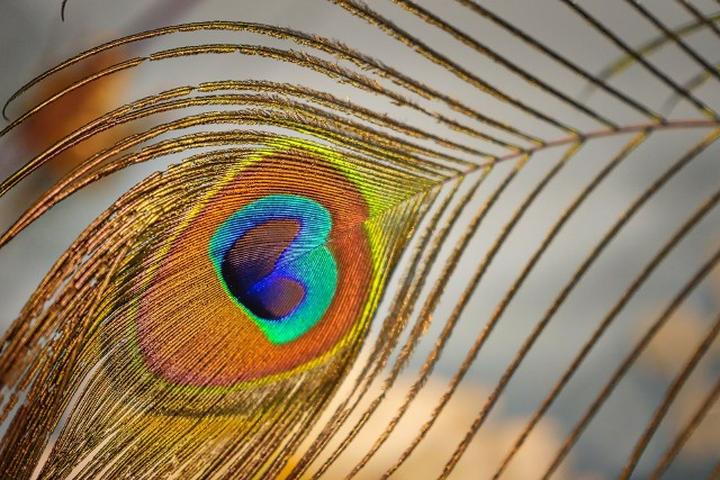 Zniszczone przedmioty w domu