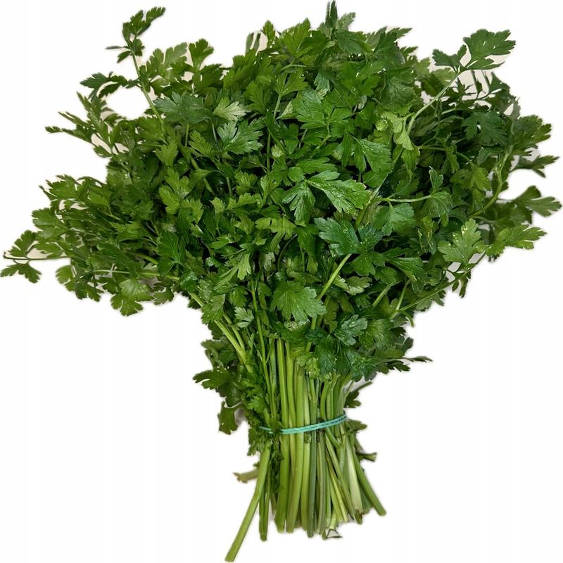 Uprawiaj natkę pietruszki samodzielnie – proste sposoby na własny ogródek