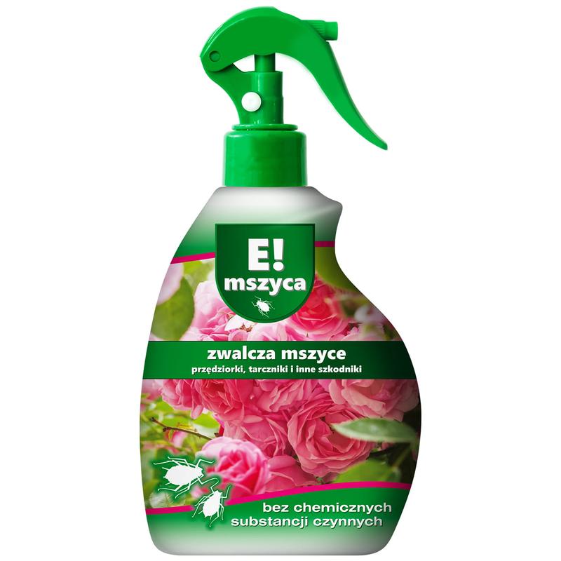 Domowe sposoby na mszyce