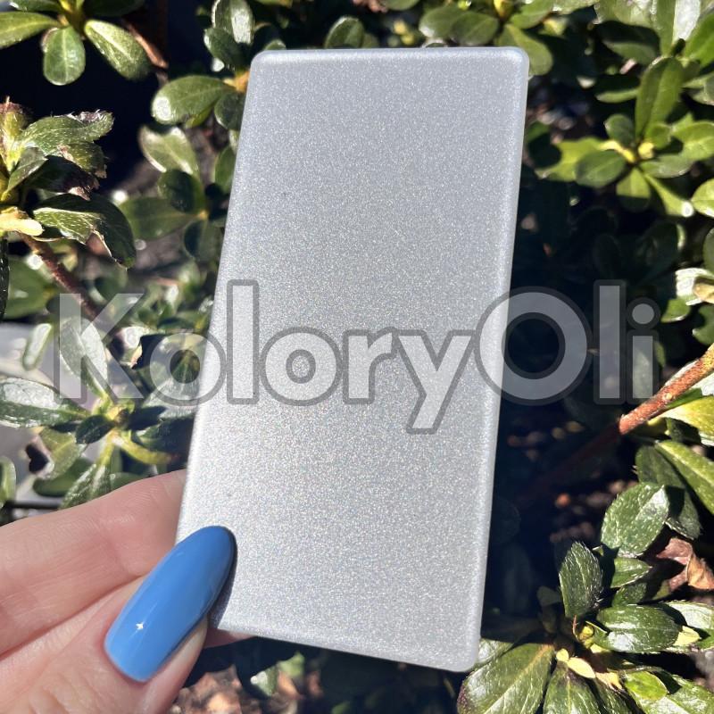 Zastosowanie RAL 9007 w architekturze