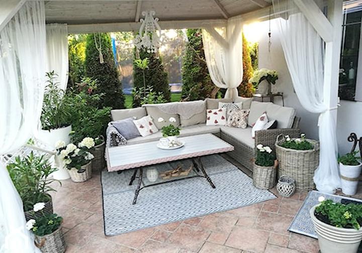 Rośliny na taras boho