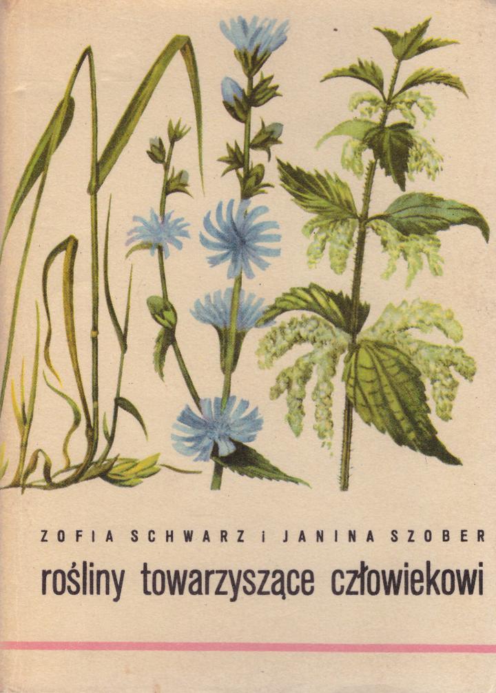 Sąsiedztwo roślin w ogrodzie