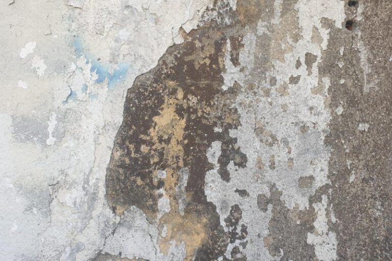 Jak skutecznie zwalczyć parujące okna w domu i pozbyć się problemów z wilgocią?