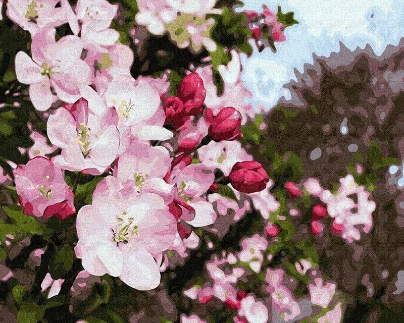 Najpiękniejsze rośliny kwitnące w maju – odkryj urok majowych kwiatów