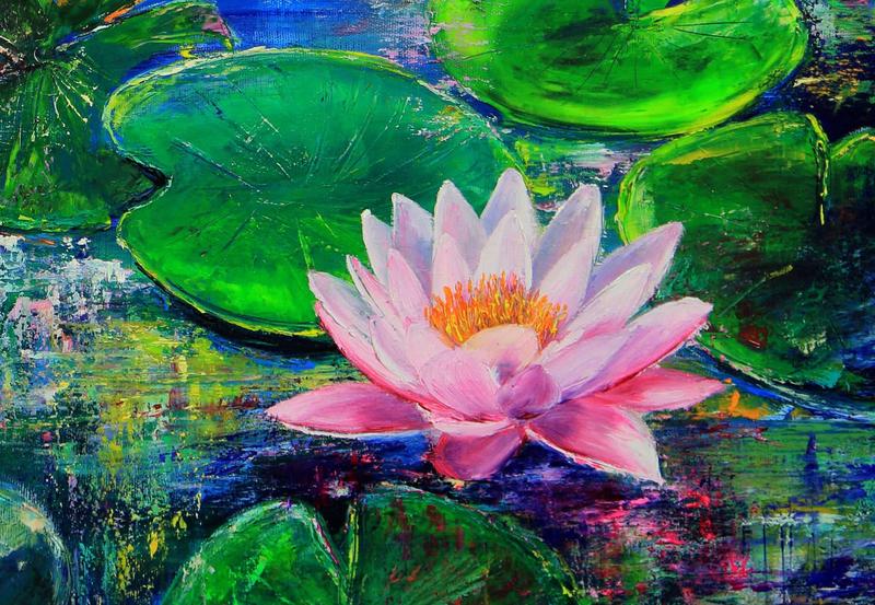 Warunki wzrostu lilii wodnych