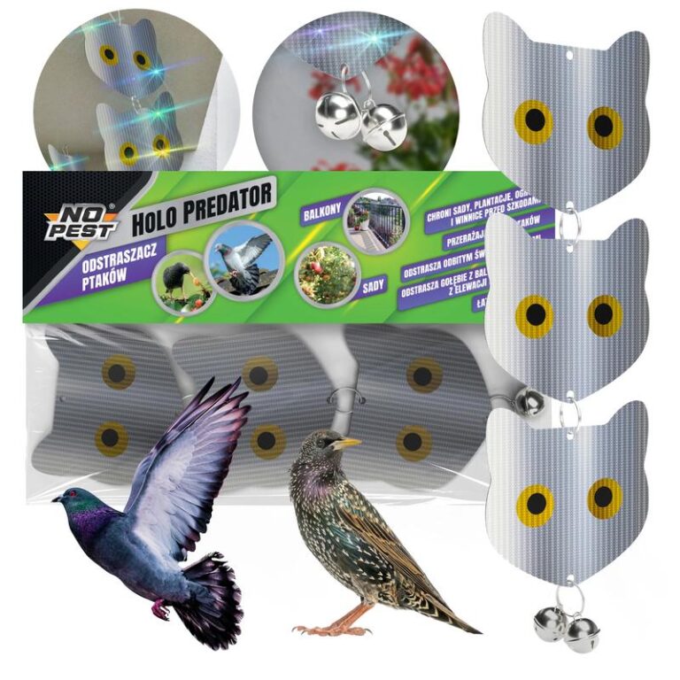 Skuteczne metody na odstraszenie gołębi z działki i balkonu