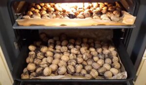 Skuteczne metody na to, jak suszyć orzechy włoskie bez łupiny