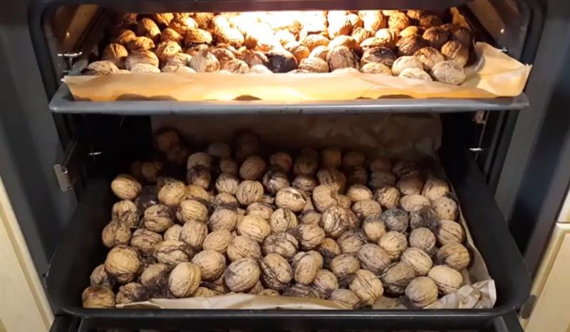 Skuteczne metody na to, jak suszyć orzechy włoskie bez łupiny