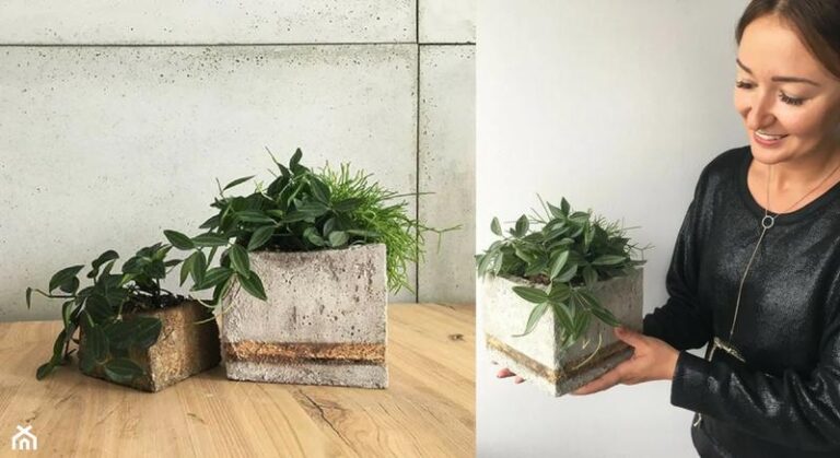 Twórz piękne betonowe donice w duchu DIY – prosty przewodnik krok po kroku