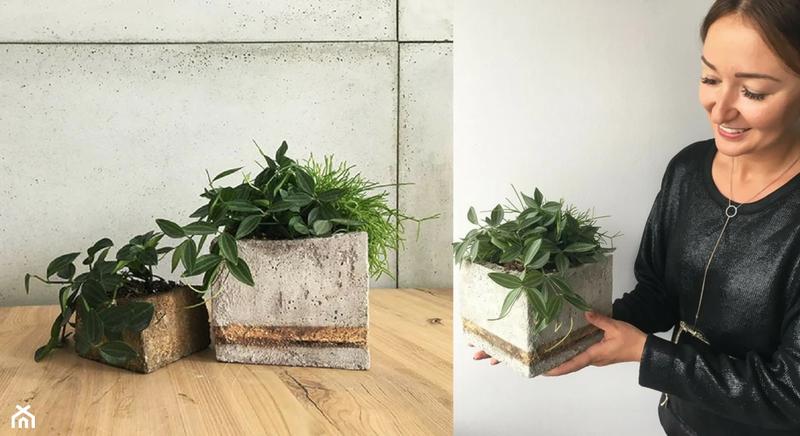 Twórz piękne betonowe donice w duchu DIY – prosty przewodnik krok po kroku