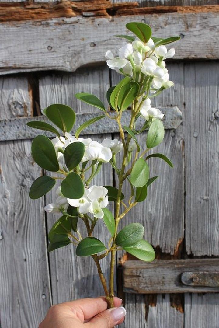 Naturalne metody ratowania stefanotisa