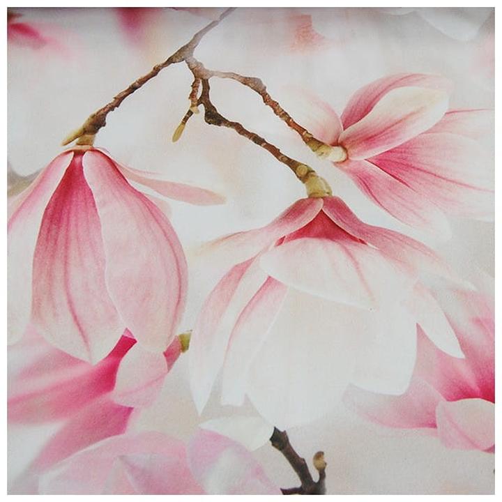 Naturalne nawozy do magnolii