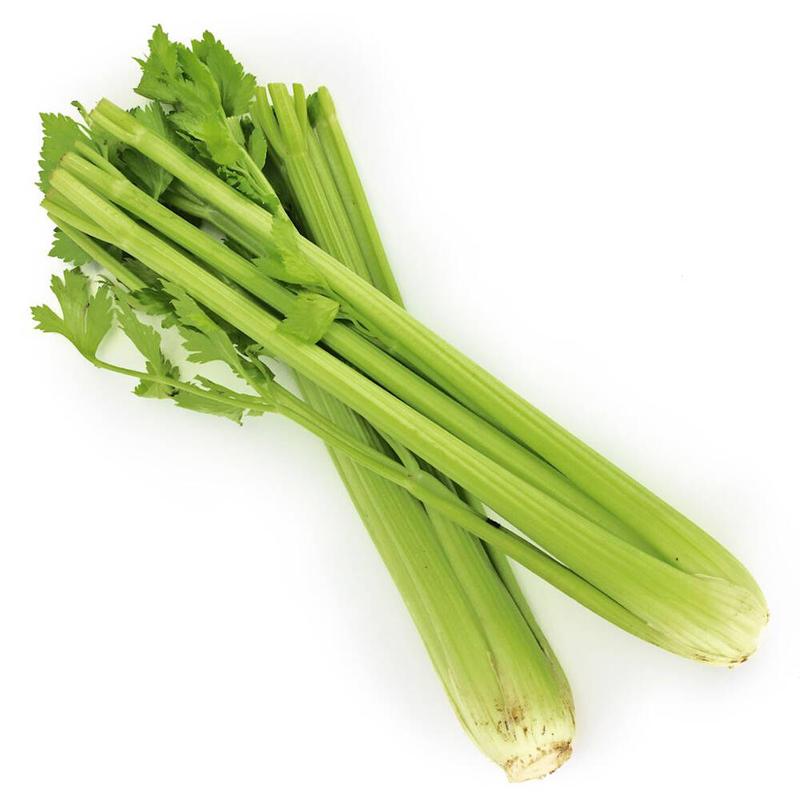 Nawożenie i nawadnianie selera naciowego