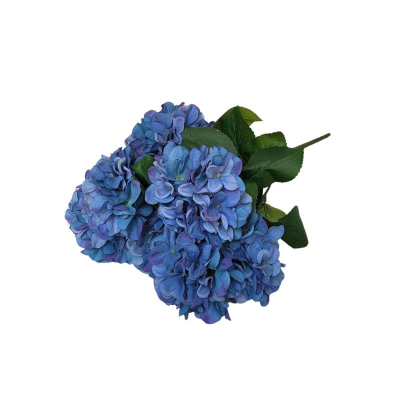 Nawożenie i przycinanie hortensji