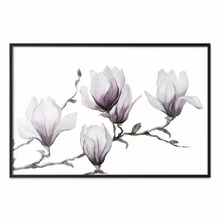 Nawożenie magnolii domowym nawozem