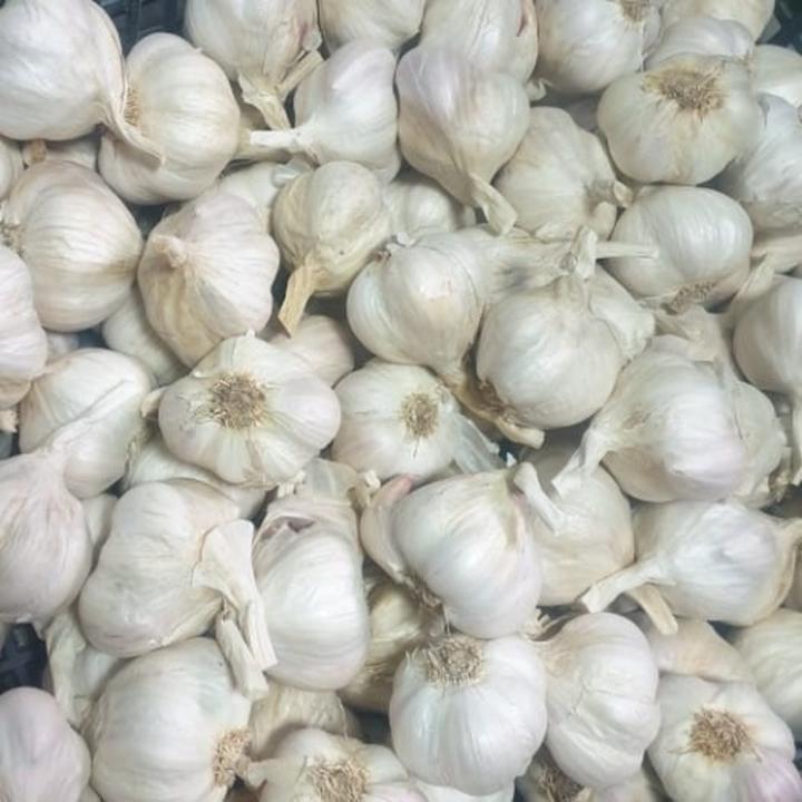 Przygotowanie cebulek czosnku do sadzenia