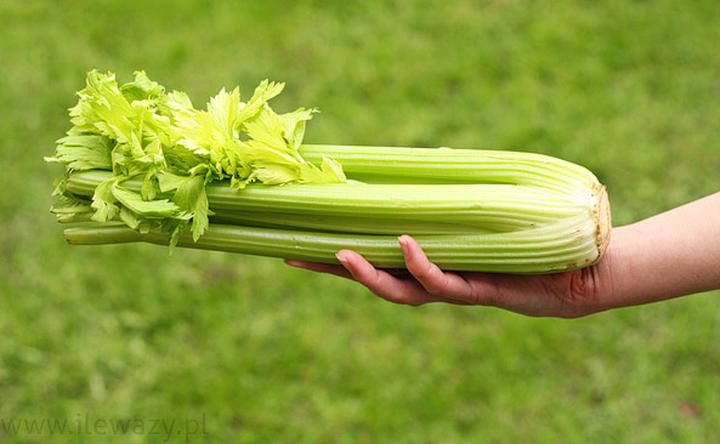 Seler naciowy – sprawdzone sposoby na zdrową i obfitą uprawę