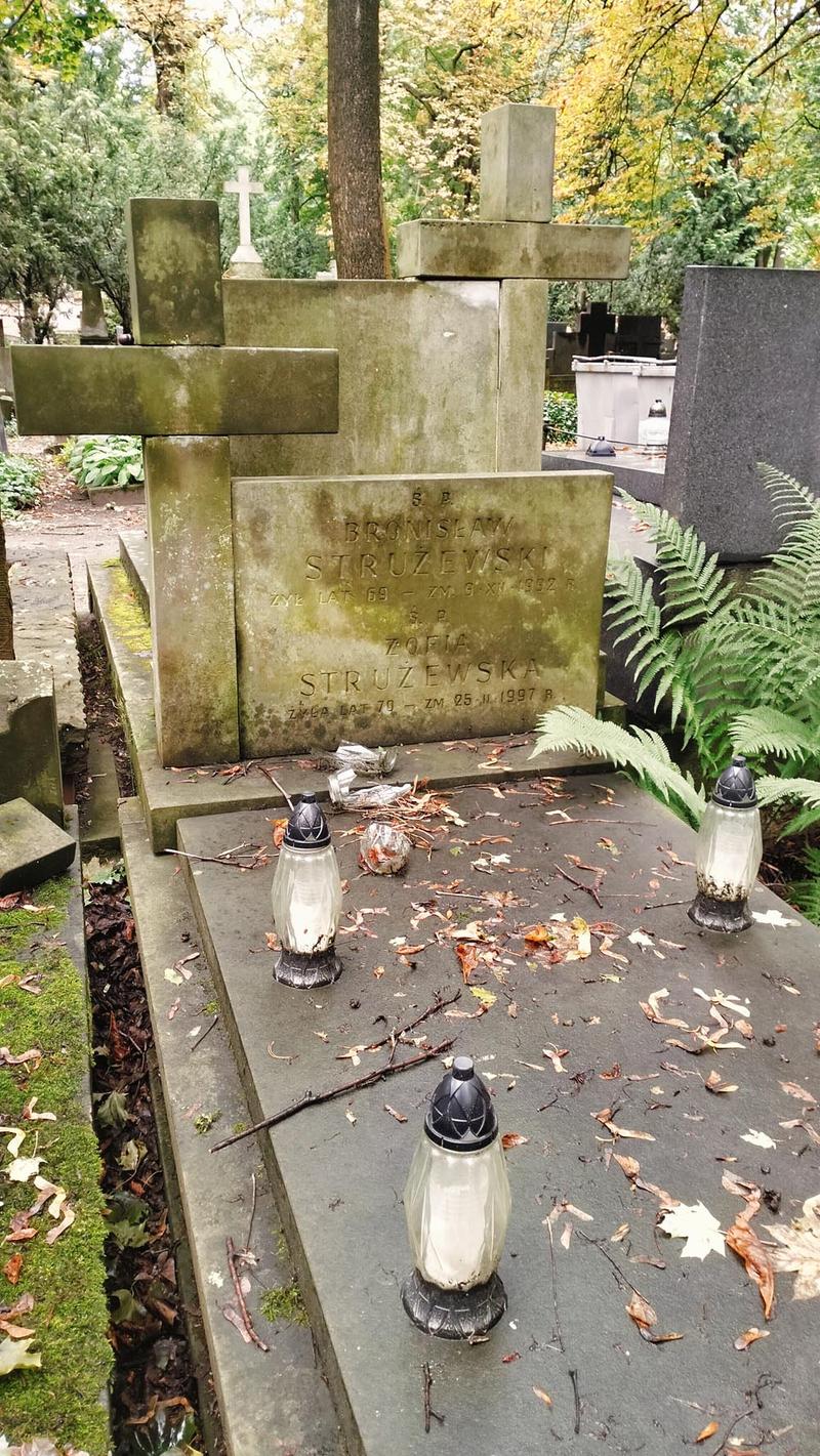 Bezpieczne techniki pielęgnacji piaskowca