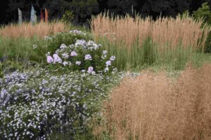 Sekrety Rabatów Preriowych: Jak Efektywnie Uprawiać i Pielęgnować Te Piękne Rośliny